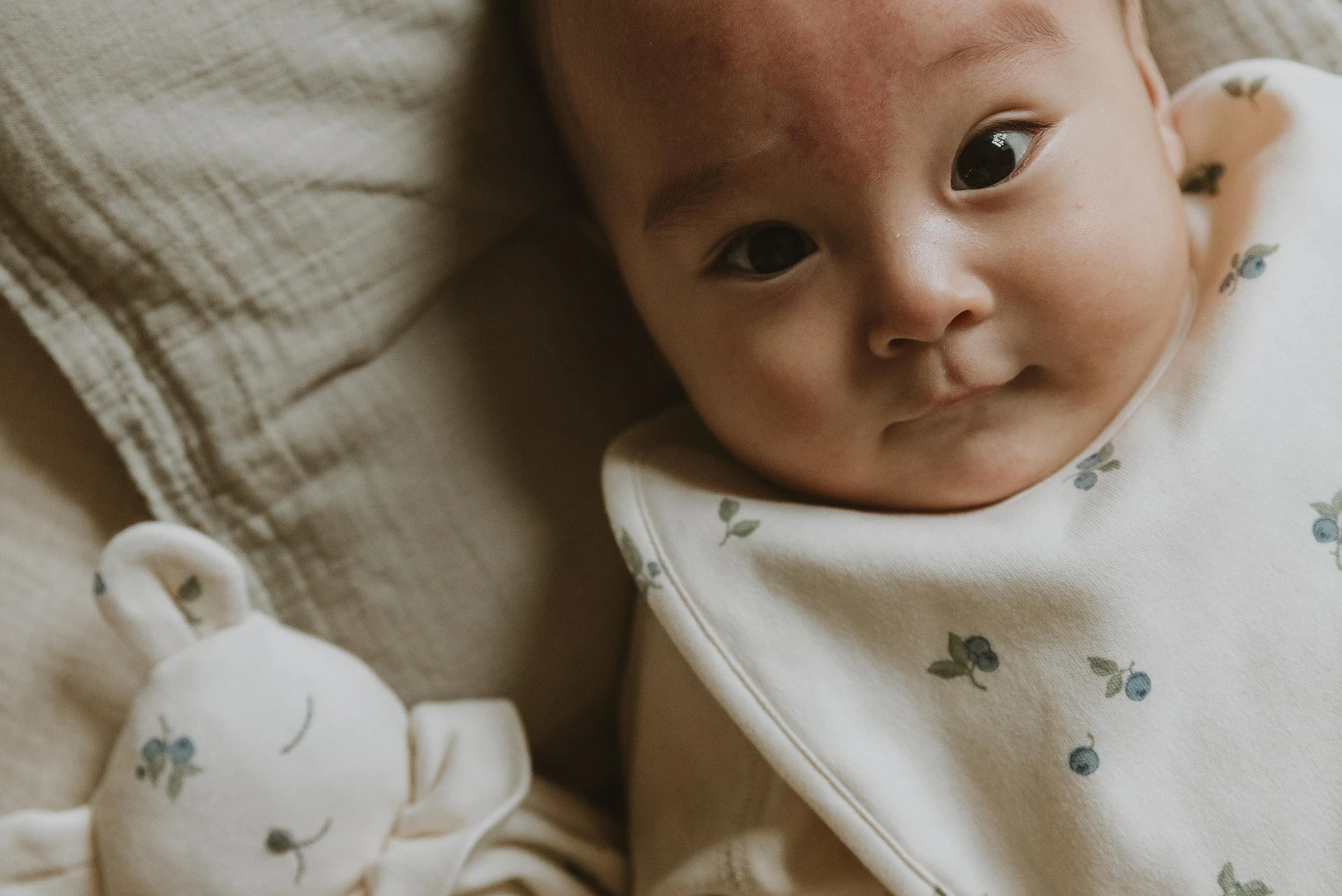 Garbo & Friends Blueberry Uniliina 5 Garbo & Friends Blueberry Uniliina - Image 5