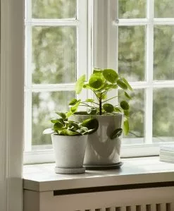 Hay Flowerpot Ruukku Pikkulautasella Harmaa, Ø11 Cm S -Outdoor Textiles myynti hay kukkaruukku aluslautanen harmaa 11