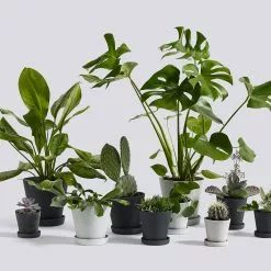 Hay Flowerpot Ruukku Pikkulautasella Harmaa, Ø11 Cm S -Outdoor Textiles myynti hay kukkaruukku aluslautanen harmaa 3