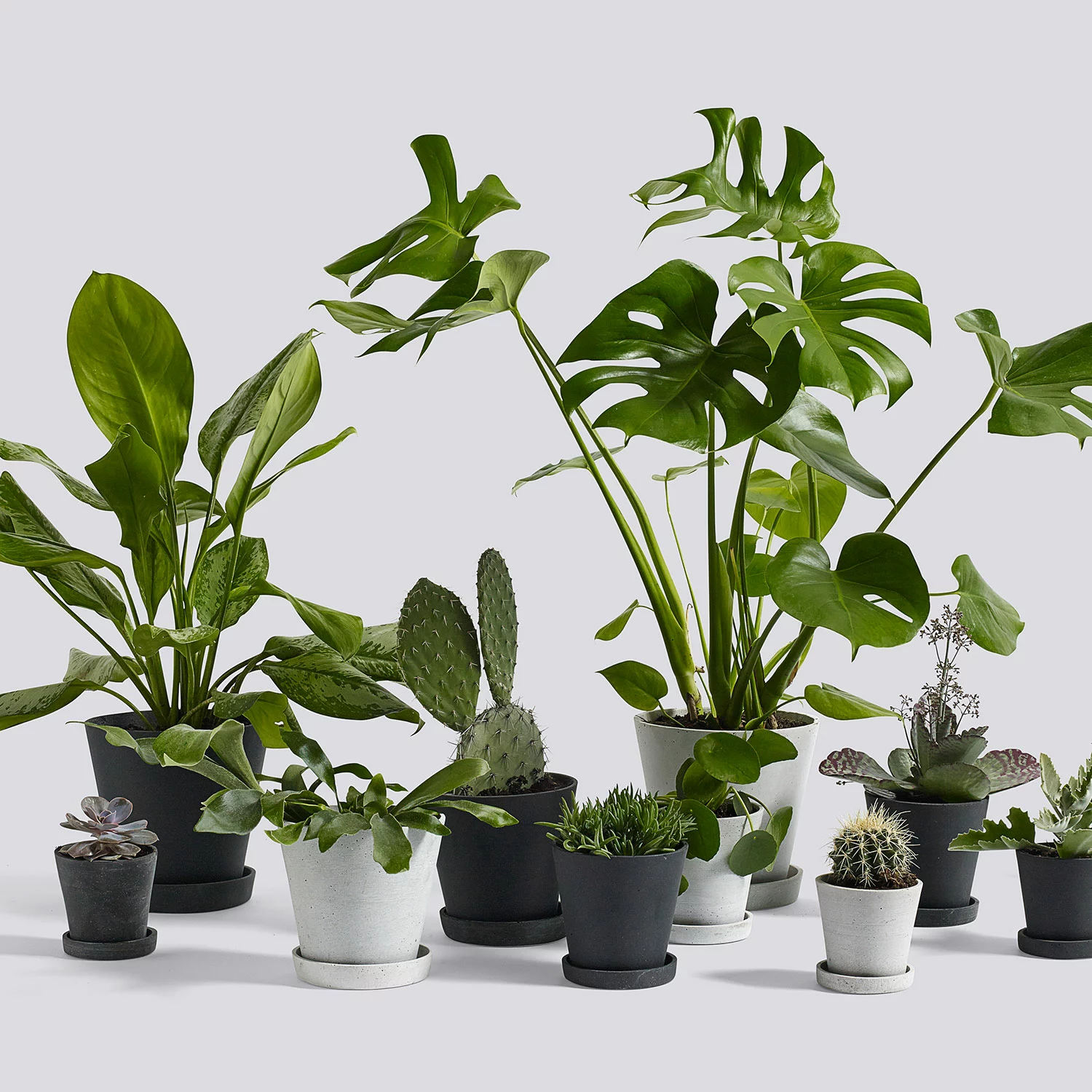 Hay Flowerpot Ruukku Pikkulautasella Musta, Ø11 Cm S 2 Hay Flowerpot Ruukku Pikkulautasella Musta, Ø11 Cm S - Image 2