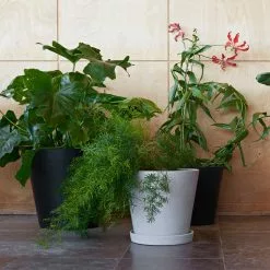 Hay Flowerpot Ruukku Pikkulautasella Musta, Ø21.5 Cm XL -Outdoor Textiles myynti hay kukkaruukku aluslautanen musta 2 1