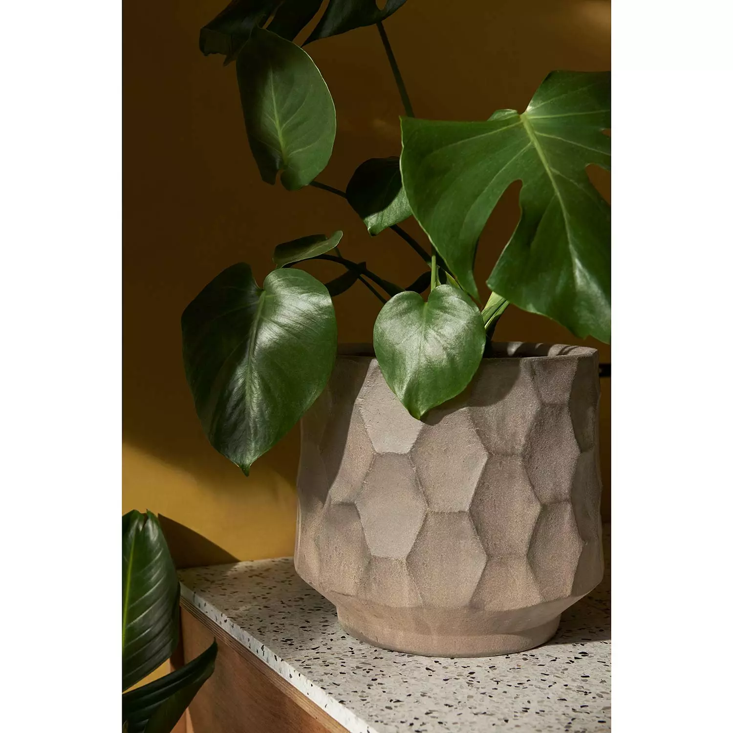 Kähler Gro Flowerpot 21,5 Cm, Light Sand 4 Kähler Gro Flowerpot 21,5 Cm, Light Sand - Image 4