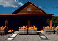 Pappelina Ella Matto 70x150 Cm,Musta/Vanilija -Outdoor Textiles myynti pappelina ella matto 70x225 cm musta vanilija 2 1