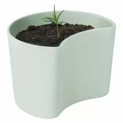 RIG TIG Your Tree Degradable Pot With Seed, Green