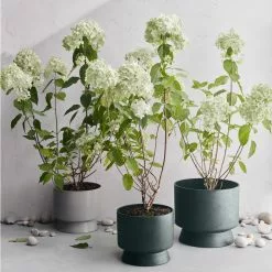 Rosendahl Copenhagen Ro Ruukku Tummanvihreä, Ø12 Cm -Outdoor Textiles myynti rosendahl copenhagen ro ruukku tummanvihrea 14