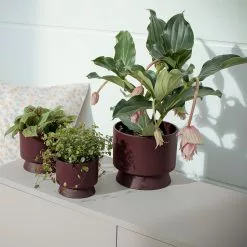 Rosendahl Copenhagen Ro Ruukku Viininpunainen, 15 Cm -Outdoor Textiles myynti rosendahl copenhagen ro ruukku viininpunainen 2 1