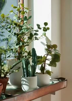 &Tradition Collect SC69 Kukkaruukku SC69 Ø12x13 Cm, Milk -Outdoor Textiles myynti tradition collect kukkaruukku sc69 dia12 x h13 cm 18