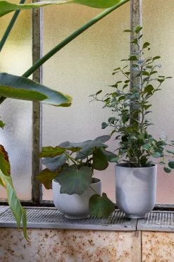 &Tradition Collect Kukkaruukku Ø20x24 Cm, Ochre -Outdoor Textiles myynti tradition collect kukkaruukku sc72 dia20 x h24 cm 3 2